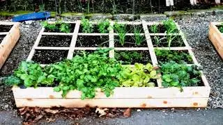 BACKYARD VEGETABLE GARDEN DESIGN ICool