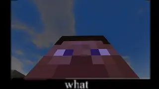 WHAT???