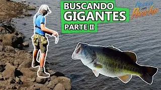 PESCA de LOBINA - BUSCANDO GIGANTES - Ep. 2