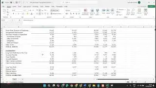 FIN5063-2W1 Spread Sheet Problem Solution