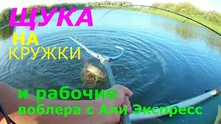 Ловля щуки на кружки и на воблера с Али Экспрес!!!