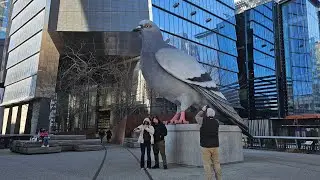 #Live USA 02/28/25 Exploring Manhattan NEW YORK times square United States America Sightseeing