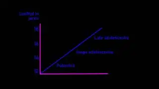 Animated Graph