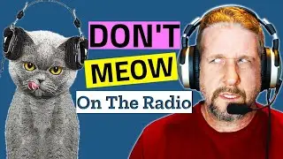 Do Pilots Really Meow on the Radio?