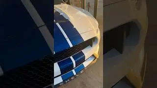 Golden Hour Shelby