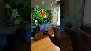 This TV costs HOW MUCH?!
