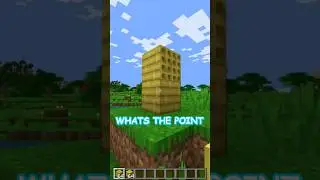 minecraft’s strangest secret?