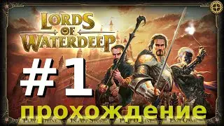 Прохождение Lords of Waterdeep [1]