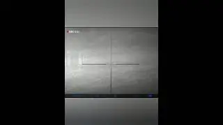 охота на волка в Беларуси