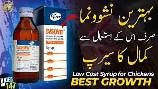 lysovit syrup for hens | lysovit syrup for chicks | best multivitamins for hens calcium in aseel