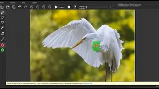 Teorex Inpaint 6.0. Установка и краткий обзор