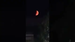 Red moon