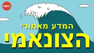 איך צונאמי עובד – אלכס גנדלר
