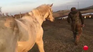 Зима 2022