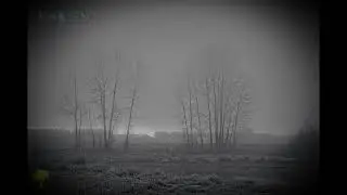 Ambient music ✧—✧ Эмбиентная музыка