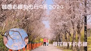 【又飛啦】韓國首爾自由行9天2024 | 櫻花樹下的首爾 | 汝矣島2024櫻花節 | 首爾美食必吃餐廳 | 首爾7017 清溪川 兔子停 水原華城 好多打卡景點