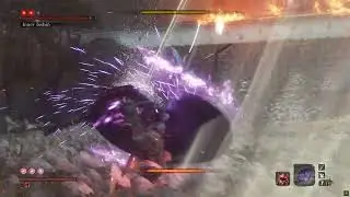 Sekiro: Shadow die twice (Inner Isshin NG+4 charmless)