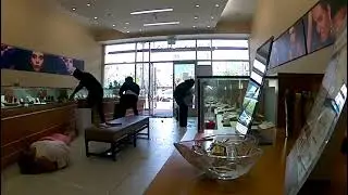 Mob' smash and grab US$100K of merchandise at L.A. mall