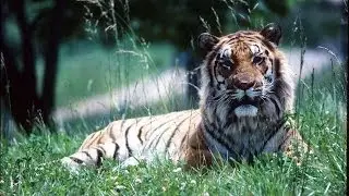 Riding History to the Limits - Part 9 Wild and Untamed