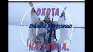 Охота на зайца!Русак и беляк в один день!