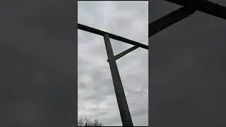 Голуби Владимира Николаевича Петренко станица Староминская