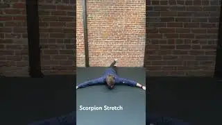 Scorpion Stretch