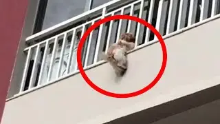 She held on to the balcony with the last of her strength! Look what happened next!