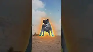 Wolf 🐺 game ads Fight to survive #gameplay #review #advertising #ads
