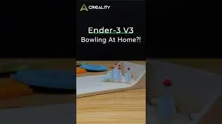 Bowling at home?? Try one for yourself!