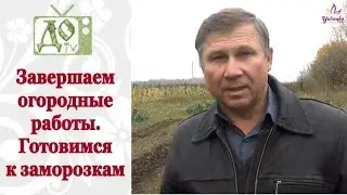 Завершаем ОГОРОДНЫЕ РАБОТЫ. Готовимся к зиме. Как прижились ПРИВИВКИ . Vlog