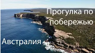 Побережье Австралии - Королевский национальный парк