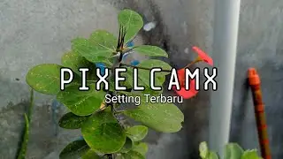 Gcam Pixelcam 7.3  Manual Foto Bokeh