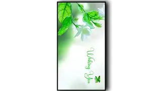 Happy Birthday Lyrics Template Video. Leaf Birthday Template Video. Wishing You 