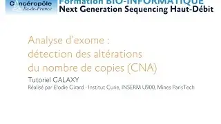 Formation NGS : Exome-Seq, altérations du nombre de copies avec Galaxy