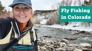 Fly Fishing in Colorado