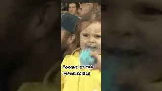 ¿Qué pex con el sargazo?