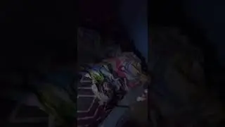 tulog na pamangkin 