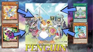[NEW] Two more Penguins and they are...? | PENGUIN deck Jun.2021 | Testing all new support