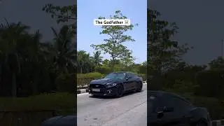 Mafia Mustang | GT 500 | Black car 