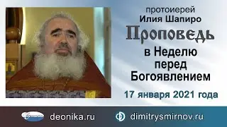Проповедь в Неделю перед Богоявлением (2021.01.17). Протоиерей Илия Шапиро