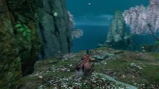 Sekiro: Shadows Die Twice_20221211005641
