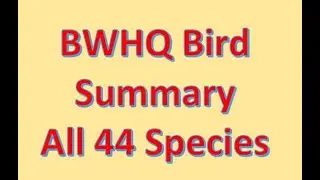 BWHQ Bird Summary