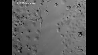 Keratinocytes and neuronal cells