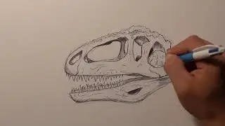How to Draw GIGANOTOSAURUS Skull - Jurassic World: Dominion