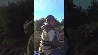 Голодные щуки Западной Двины#fishing #рыбалканадвине#ЗападнаяДвина #tohatsu