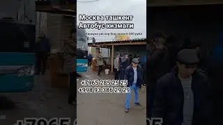Москва Узбекистан Автобус 