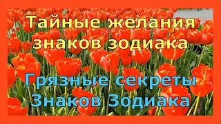 Тайные желания Знаков Зодиака. Грязные секреты Знаков Зодиака