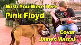 Wish You Were Here (Pink Floyd) Cover: James Marçal & Dog Caramelo