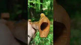 I’m singing with the birds in the forest 🌳, on a new flute in a major scale, diatonic in F.