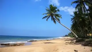 Удивительная Шри-Ланка (Sri Lanka)- незабываемый о. Цейлон